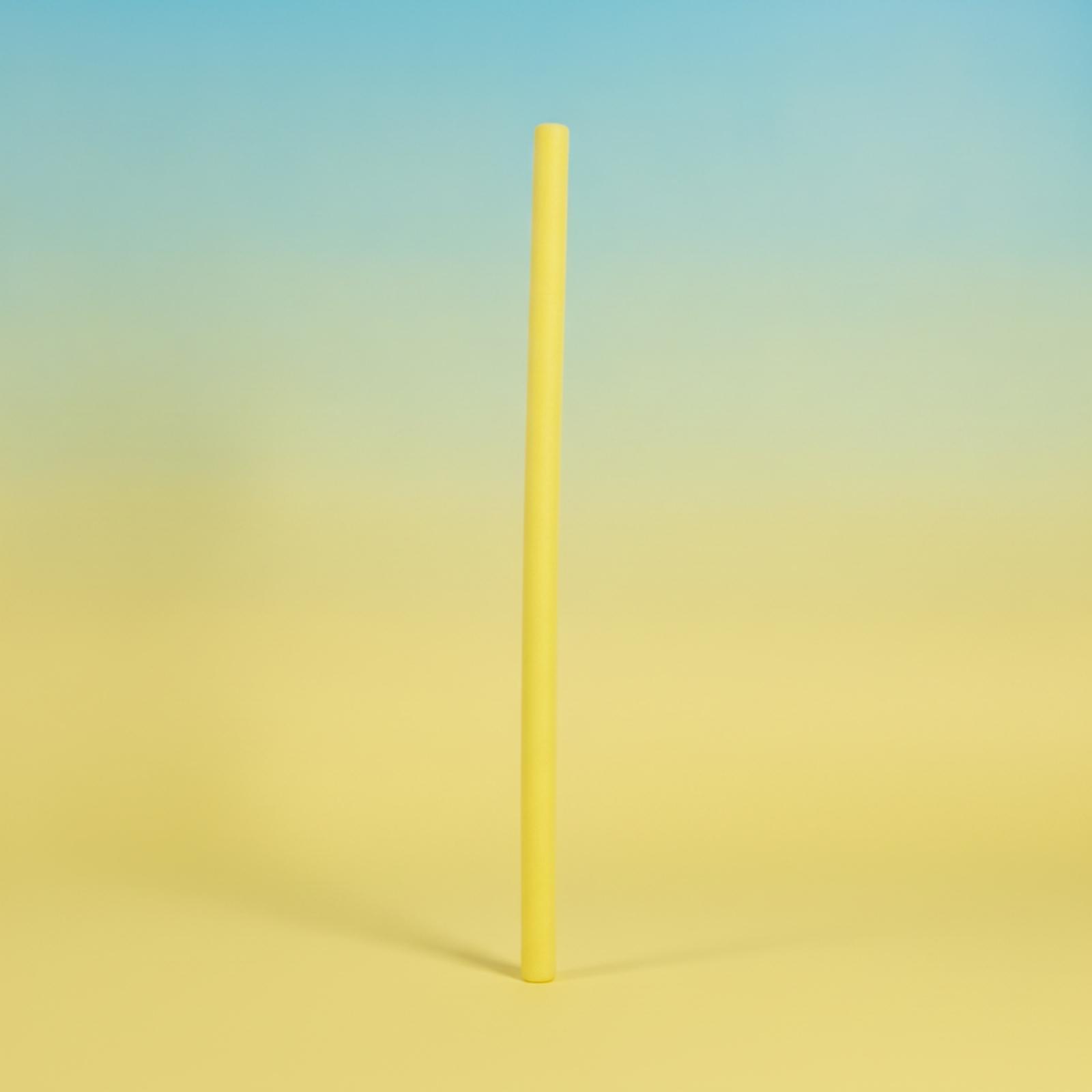 Barra Flotante para Entrenamie - Foam Pool Noodle reseña y precio