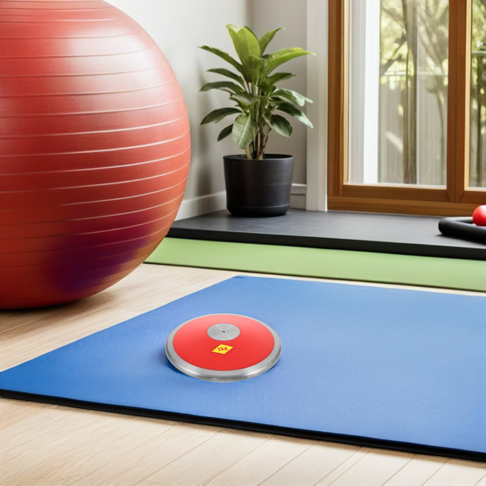 Disco de nailon para entrenami - Discus Throw Training reseña y precio