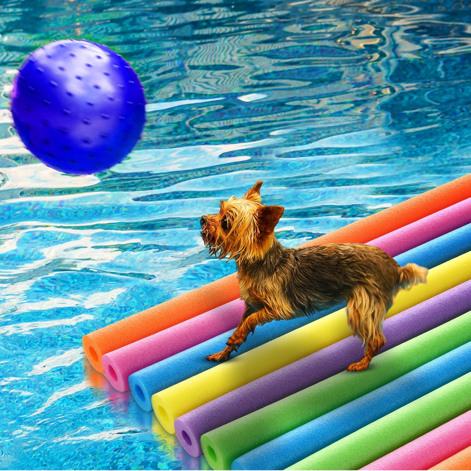 Paquete de 18 Espaguetis de Es - Foam Pool Noodle reseña y precio